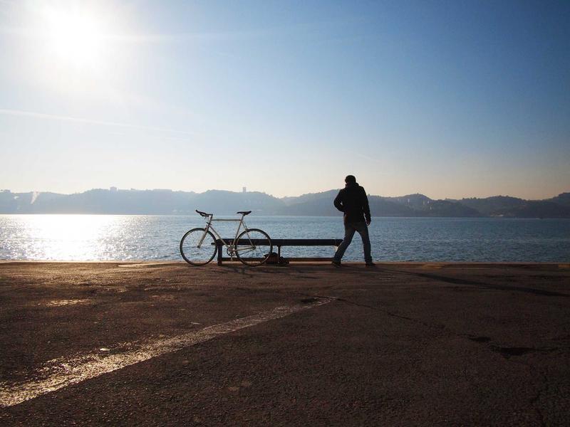 野兽派狂想<br>hzldzsi.cn 马蒂斯剪纸